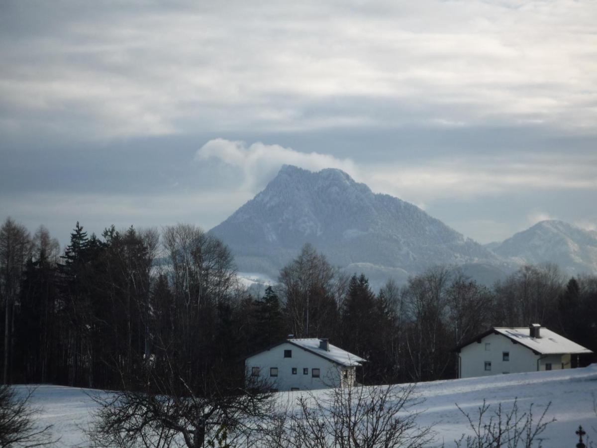 Vorderreithbauer * Hof bei Salzburg